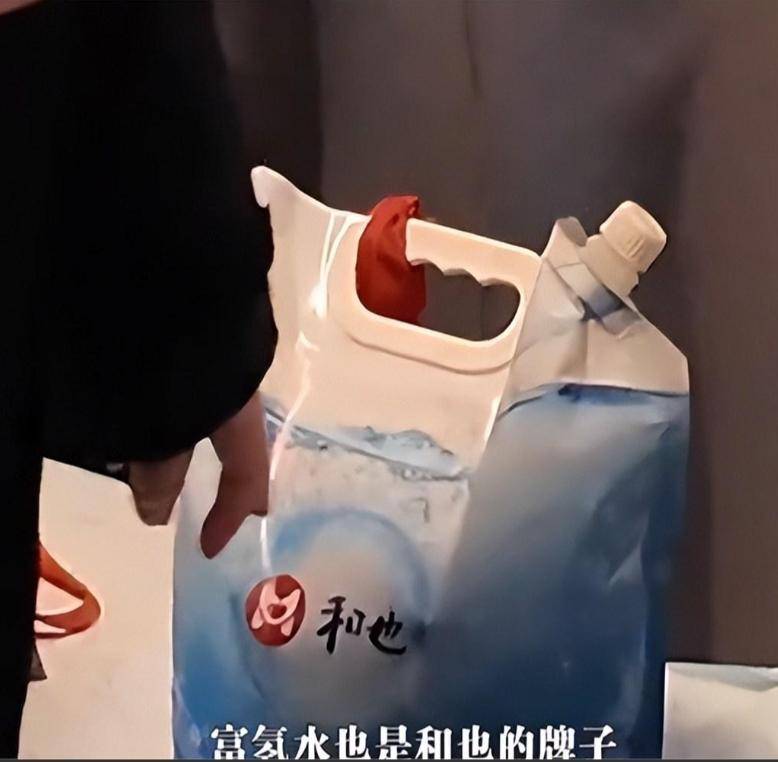 倪萍屡犯大错,名利难救