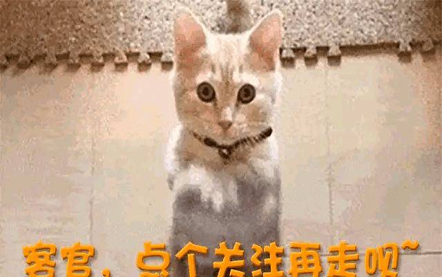 白鹿争议升级:十万红包难挽口碑危机