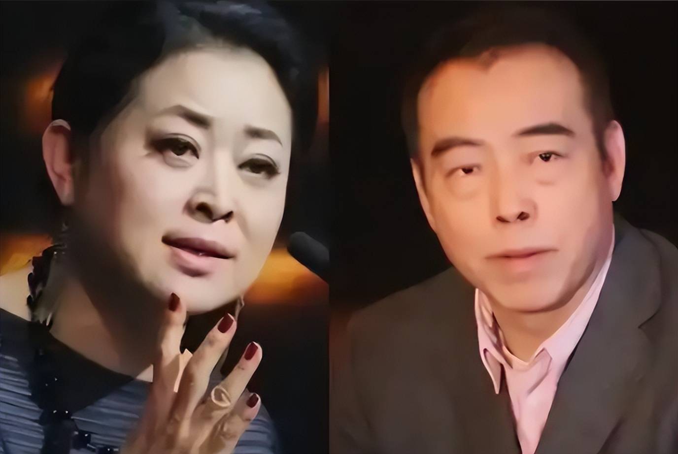 倪萍屡犯大错,名利难救