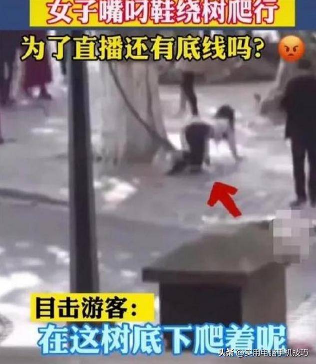 湖南铁笼事件:路人误认不当行为,8人依法处理