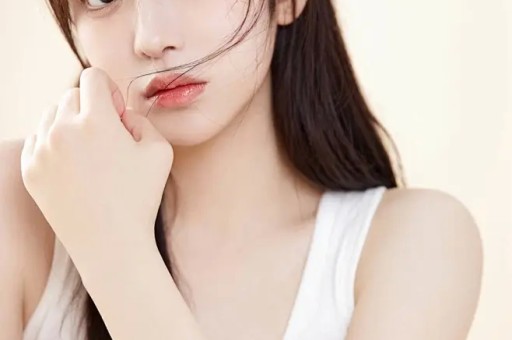 网红演唱会抄袭风波：第三方不是挡箭牌