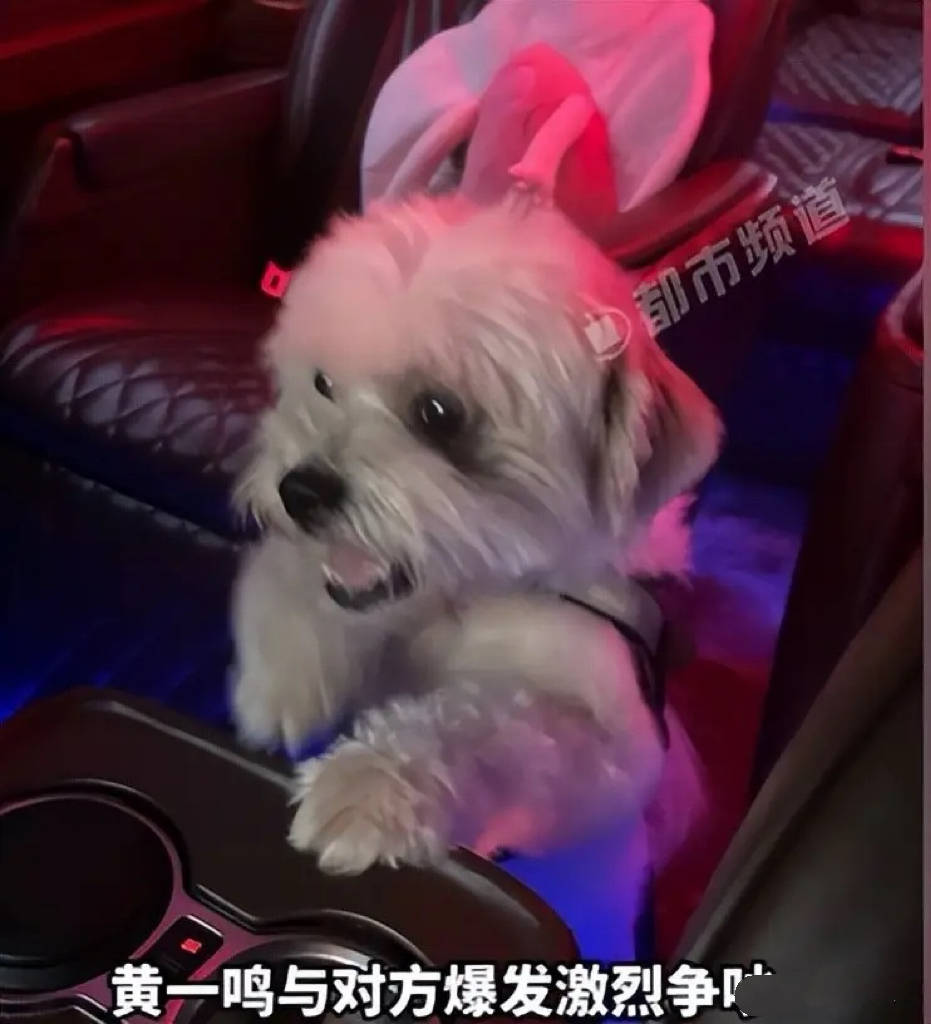 百万网红虐狗真相!前男友爆人设崩塌内幕