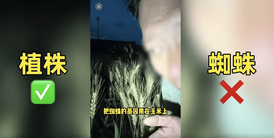 网红造谣袁隆平杂交水稻害人?真相曝光