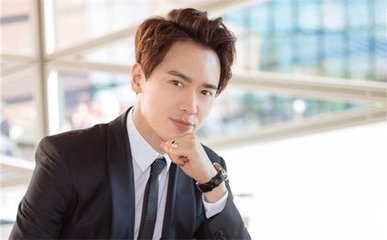 高云翔悉尼涉性侵被捕 与董璇分手